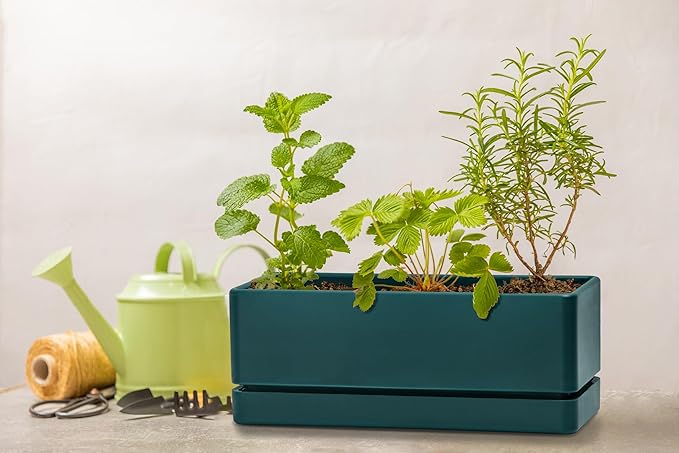 D'vine Dev 12 Inch Window Box Planter, Rectangle Plastic Herb Planter with Drainage Holes and Saucer, Indoor Succulent Cactus Vegetable Pot for Windowsill, Garden Balcony, Green, Set of 2, 76-X-C-2 - Bloomnest