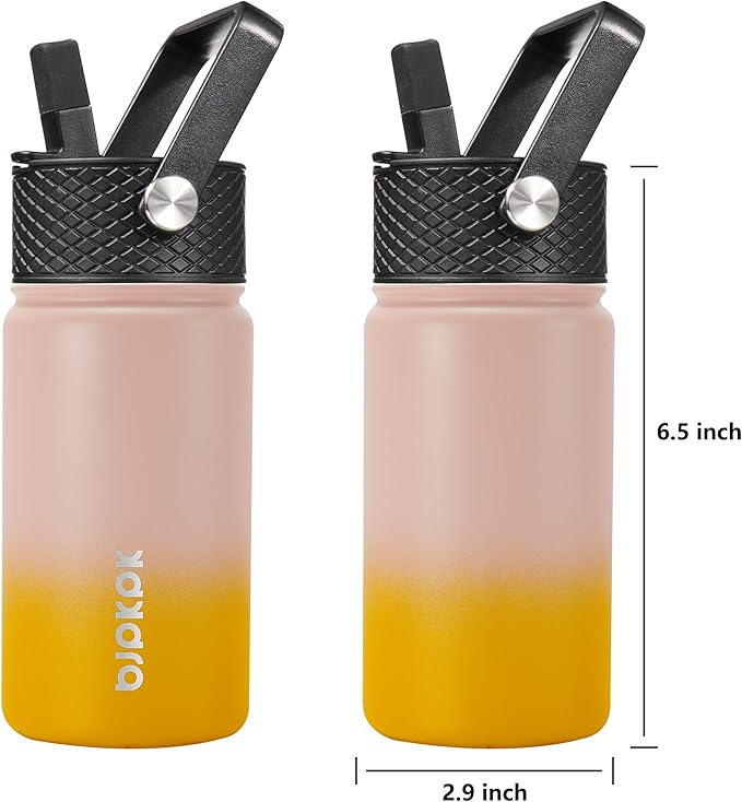 BJPKPK Water Bottle with Straw Lid, 15 oz Insulated Water Bottle, Stainless Steel Metal Water Bottles, Reusable Leak Proof BPA Free Thermo, Flask, Cups, Coral - Bloomnest
