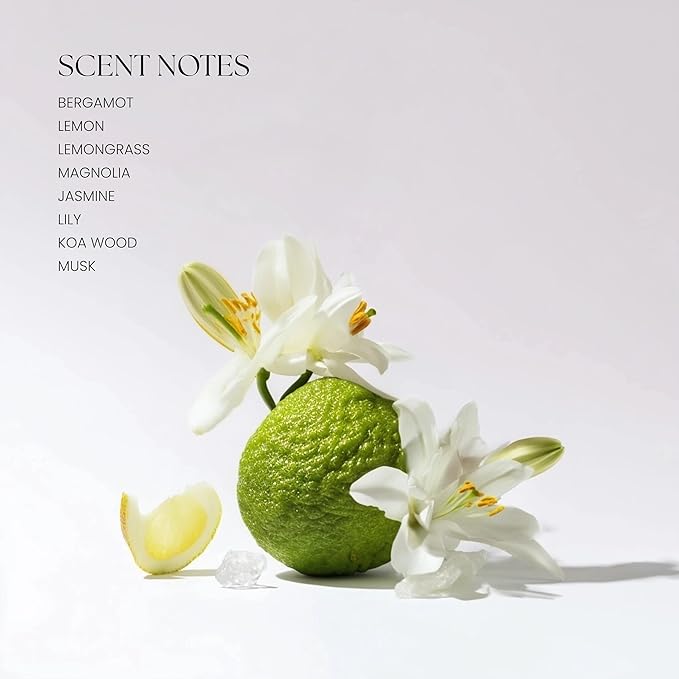 Levona Scent Essential Oil - Fresh Aroma for Home, Office, Hotel & Spa, Ideal for Humidifiers & Diffusers, Hotel Fragrance with Bergamot, Lemon & Lemongrass - 500ml / 17 fl oz, 24K Allure LEVONASCENT