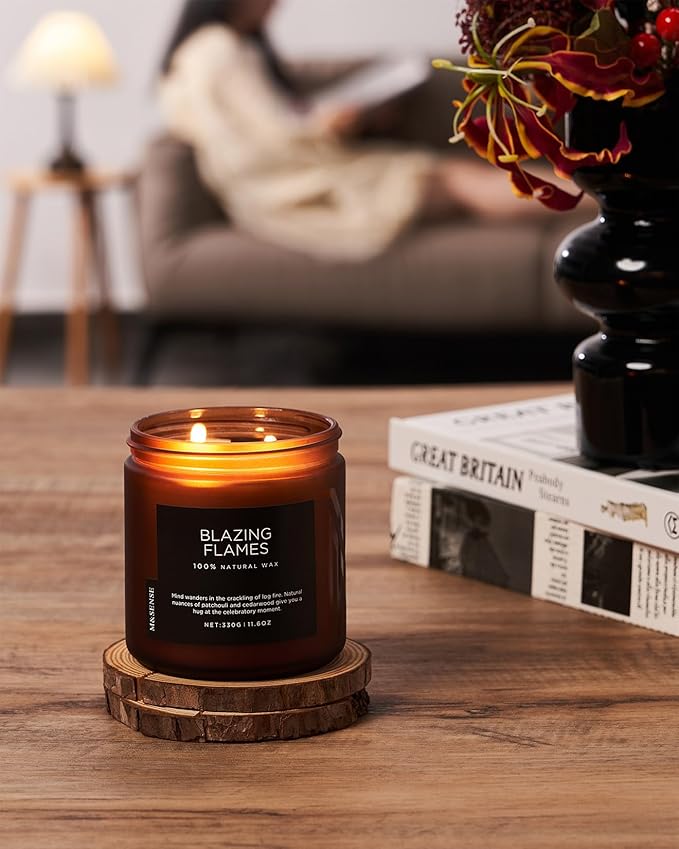 M&SENSE Blazing Flame Warm Winter Scented Candles, 11.6oz 70 Hours Long Lasting Candle for Home Decor Housewarming Gift, 2 Cotton Wick Natural Soy Wax Candle for Thanksgiving Chritsmas Holiday - Bloomnest