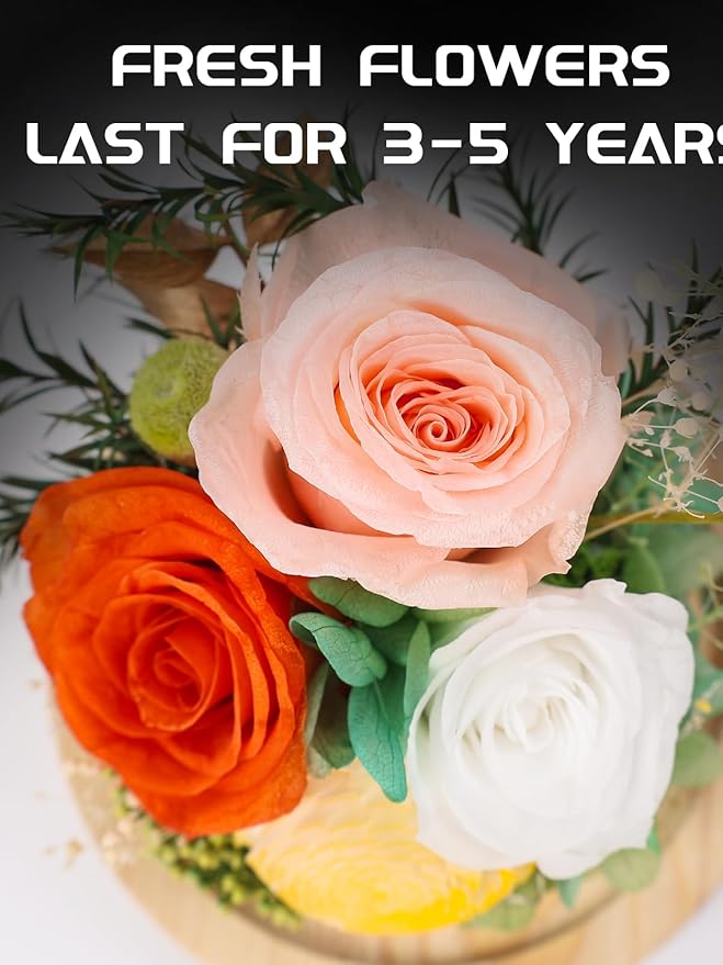 FIACO Preserved Rose Birthday Gift for Women Forever Fresh Flowers for Prime Delivery Gift for Mom Grandma Wife Valentines Mothers Day Christmas Anniversary Eternal Roses in Glass Dome - Bloomnest