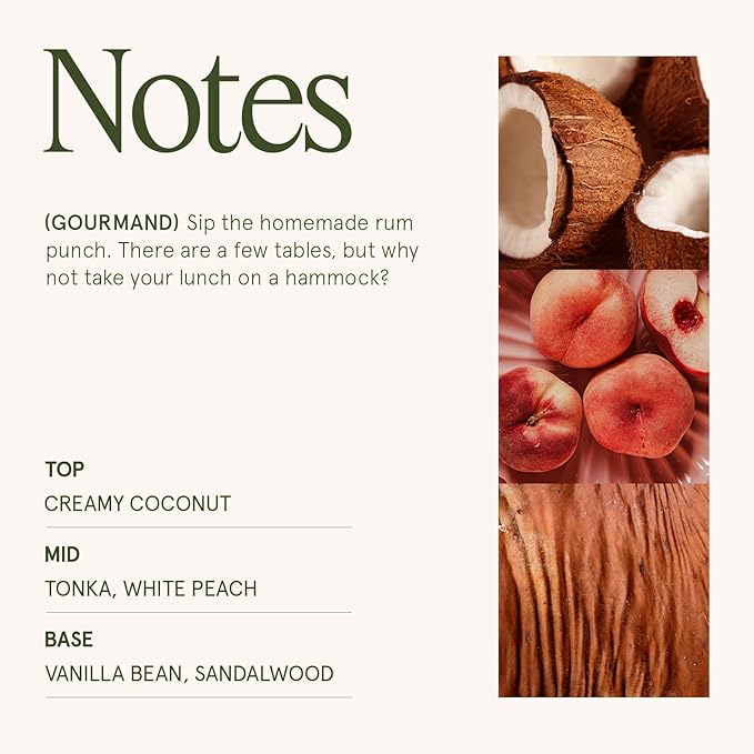 LA JOLIE MUSE Island Coconut Scented Candle – Coconut, Peach & Vanilla | 6oz Luxury Soy Candle | 40 Hours Clean Burn| Gift-Ready for Hosts & Gatherings | Elegant Home Décor - Bloomnest