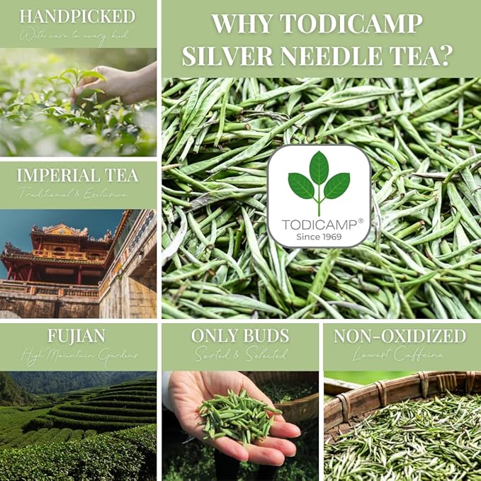 TODICAMP Premium Silver Needle Tea - 3 oz of Premium White Tea Loose Leaf - Bloomnest