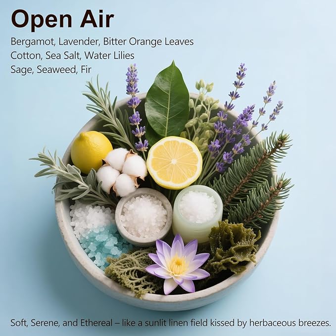 Car Air Freshener, 2-in-1 Stone Car Freshener with Visor Clip & Hanging Scent Diffuser, Natural Scent Stone Diffuser, Long-Lasting Odor Eliminator for Car or Home, Smooth Open Air - Bloomnest