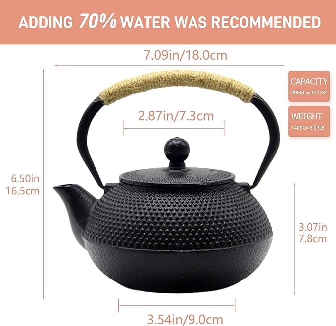 Japanese Tetsubin Cast Iron Teapot Tea Kettle pot with Stainless Steel Infuser for Stovetop Safe Coated with Enameled Interior (Black, 27.1oz) - Bloomnest