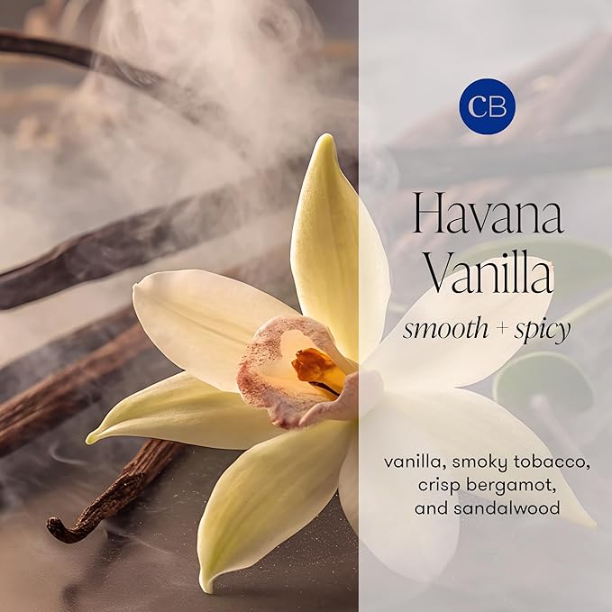 Capri Blue Havana Vanilla Reed Diffuser Set - Includes Reed Diffuser Sticks, Fragrance Oil, and Glass Bottle - Luxury Scented Room Fresheners - Cobalt Blue (8 fl oz) - Bloomnest