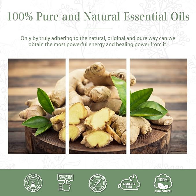 Ginger 3.38fl.oz Essential Oil, PHATOIL Pure Aromatherapy Oils for Diffuser, Humidifier, Perfect for DIY Soap, Candle, Bath Bombs Making(100ml) PHATOIL