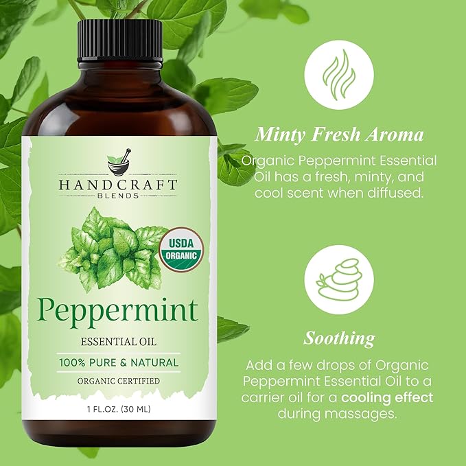 Handcraft Blends Organic Peppermint Essential Oil – 1 Fl Oz – 100% Pure and Natural – Premium Grade Essential Oil for Diffuser and Aromatherapy HandcraftBlends