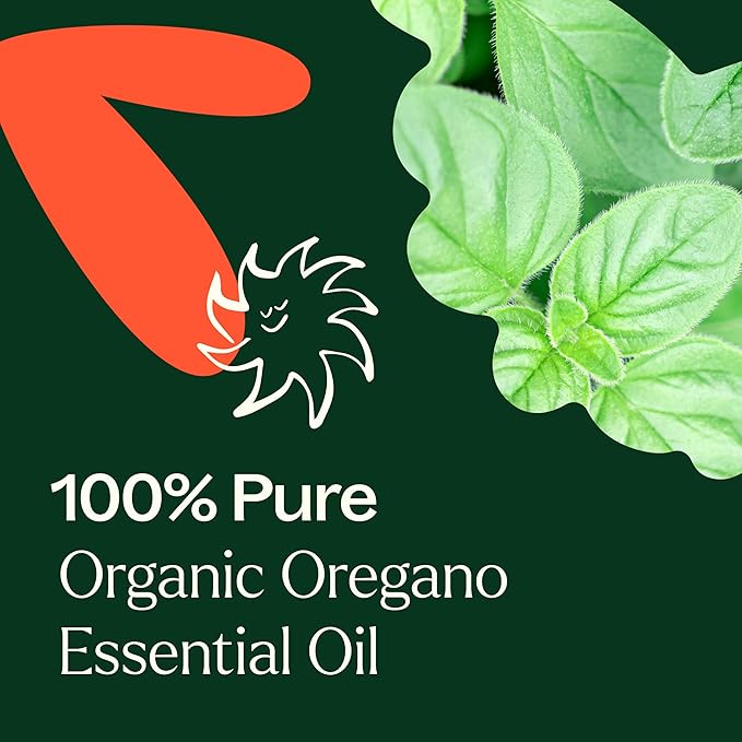 Plant Therapy Organic Oregano Essential Oil 100% Pure, USDA Certified Organic, Undiluted, Natural Aromatherapy, Therapeutic Grade 10 mL (1/3 oz) - Bloomnest