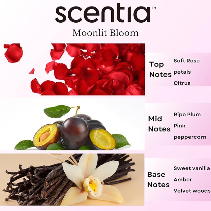 Moonlit Bloom Diffuser Oil | Romantic Essential Aromatherapy Oil for Love and Date Night | Valentine Collection with Rose Petal, Vanilla, Amber & Woods | 50ml | 1.69 Fl Oz, Thanksgiving Gift - Bloomnest
