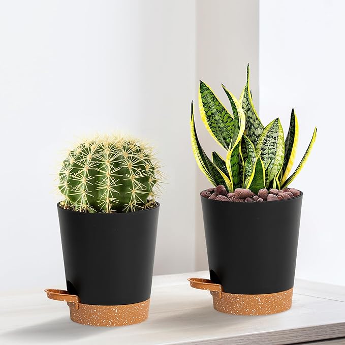 4 inch Small Plant Pots for Outdoor Indoor Plants, 10 Pack Planters with Drainage Holes and Tray, Small Self Watering Pots for Succulent, Cactus, Aloe and Other Plants (Black) - Bloomnest