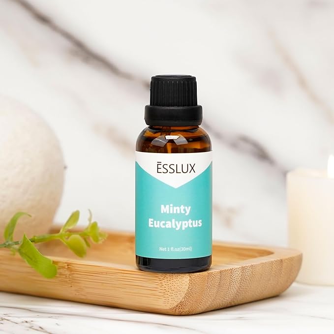 Minty Eucalyptus Fragrance Oil - ESSLUX Essential Oils for Diffuser, Candle Soap Making Scents, Fresh Clean Aromatherapy Scented Massage, Perfume for Humidifier Home Fragrance, 1 fl oz - Bloomnest