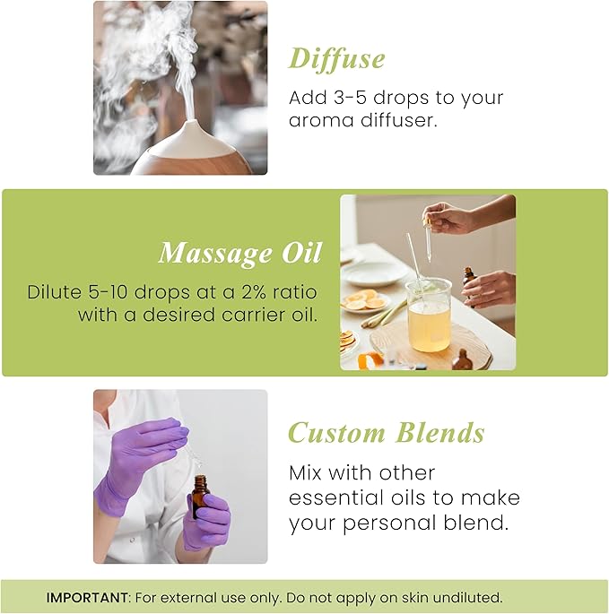Handcraft Blends Lemongrass Essential Oil – 1 Fl Oz – 100% Pure and Natural – Premium Grade Essential Oil for Diffuser and Aromatherapy, Skin, Massage, Candle and Soap Making Fragrance - Bloomnest