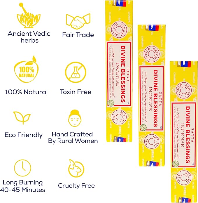 Satya Divine Blessings Incense Sticks, Satya Bng (Bangalore) Insenses 15gmx12 Pack with Raajsee Incense Holder Bundle, Satya Nagchampa Natural Incense RAAJSEE