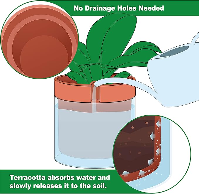 Phoenix Vine 10 Inch Self Watering Planter Pot, Terracotta Clay Pot with Glass Reservoir for Indoor Plants, Herbs, Flowers, Set of 1, 52-A-I-1 - Bloomnest
