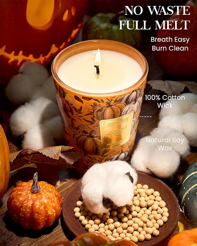 M&SENSE Pumpkin Spice Scented Candle, Soy Candles 14.1oz 60H Burn Time Slow Burning, Fall Winter Scent Unique Halloween Thanksgiving Gifts Home Decor - Bloomnest