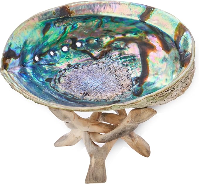 6 Inch Abalone Shell + Wood Tripod Stand, Hand Made, Sustainably Grown, Smudging Kit & Sage Smudge Kit Shell & Stand - Bloomnest