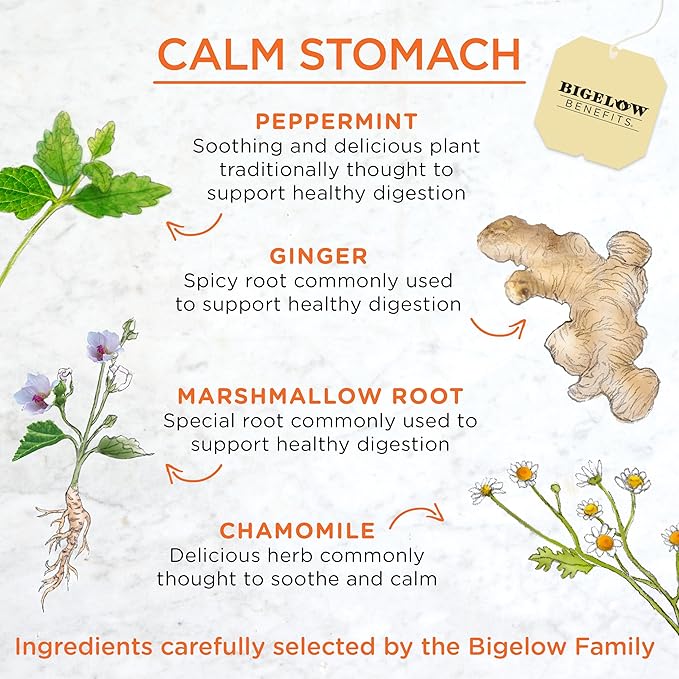 Bigelow Tea Benefits Calm Stomach Ginger Peach Caffeine Free Herbal Bags, 18 Count, Pack of 6 - Bloomnest