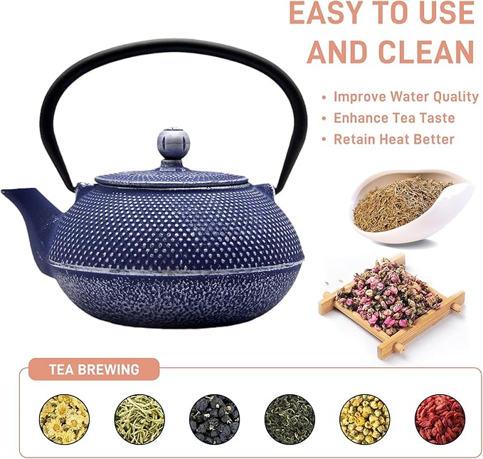 Cast Iron Teapot Tea Kettle with Stainless Steel Infuser for Stovetop Safe Coated with Enameled Interior Japanese Dark Blue Tetsubin for Loose Tea(30.4oz/900ml) - Bloomnest