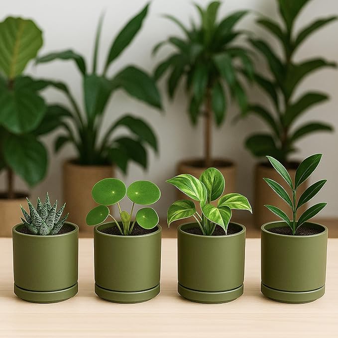 D'vine Dev Set of 4 Small Ceramic Plant Pots, 3.5 Inch Succulent Planter Pot for Plants with Drainage Hole and Saucer, Olive, 94-X-A-0 - Bloomnest