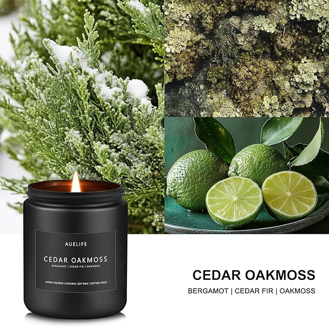 Cedar Oakmoss Candle | Scented Candles for Men - Soy Candles for Home Scented, Manly Candle for Bedroom, Man Gifts for Him/Friend -7oz - Bloomnest