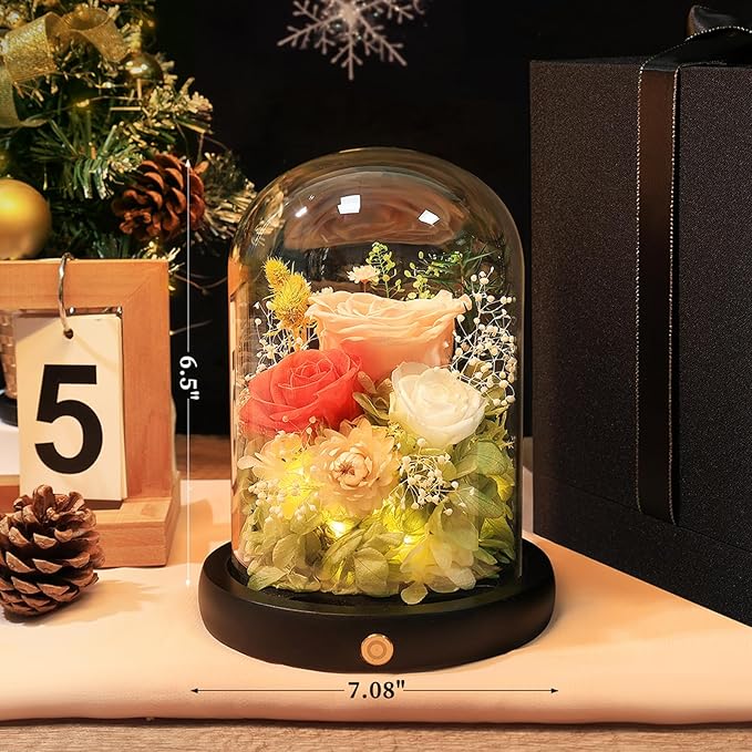 FIACO Preserved Flowers Rose Gifts for Women, Birthday Gifts Eternal Rose in Glass Dome Long-Lasting Real Forever Flowers Gifts for Mom Grandma Wife Girlfriend - Bloomnest