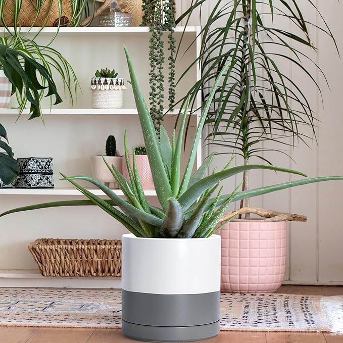 D'vine Dev 8.2 Inch & 10 Inch Ceramic Planter Pot for Plants with Drainage Hole and Saucer, Large Plant Pots Set, White/Speckled Grey, 94-G-L-6 - Bloomnest