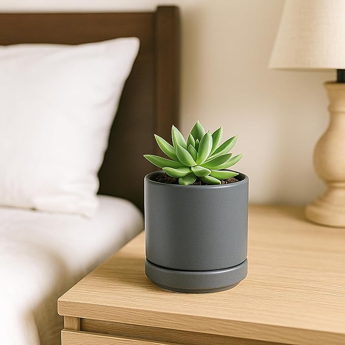 D'vine Dev Set of 4 Small Ceramic Plant Pots, 3.5 Inch Succulent Planter Pot for Plants with Drainage Hole and Saucer, Grey, 94-X-A-3 - Bloomnest