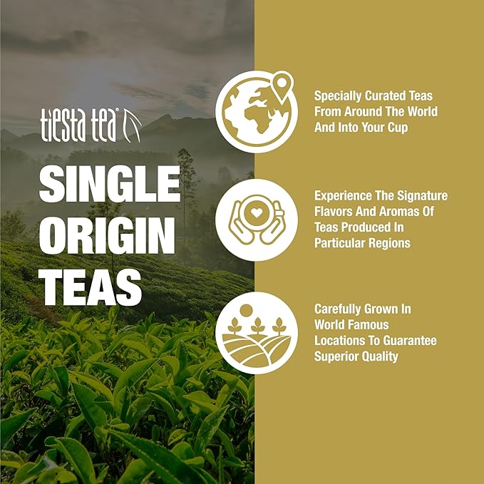 Tiesta Tea - Jasmine Pearls Green Tea, Loose Leaf, Single Origin Premium Jasmine from China, Medium Caffeinated, Makes Hot or Iced & Up to 50 Cups, 100% Pure Unblended, 5oz Refillable Tin - Bloomnest