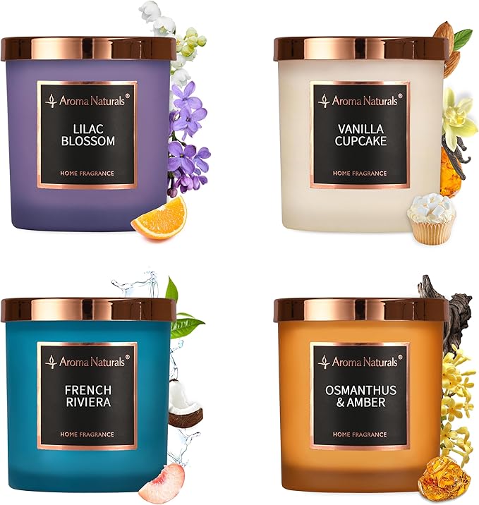 HomeLights Scented Candle Gift Set, Natural Soy Wax Candles, 4 Pack Long Lasting Up 140 Hours, Aromatherapy Candles for Women Men Birthday Thanksgiving Christmas - Bloomnest