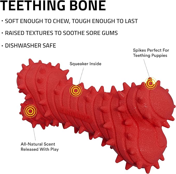 Playology Dog Toys | Puppy Toy Teething Bone Designed for Young & Active Dogs | Small Beef Scented Toy Made from Non Toxic Materials - Bloomnest