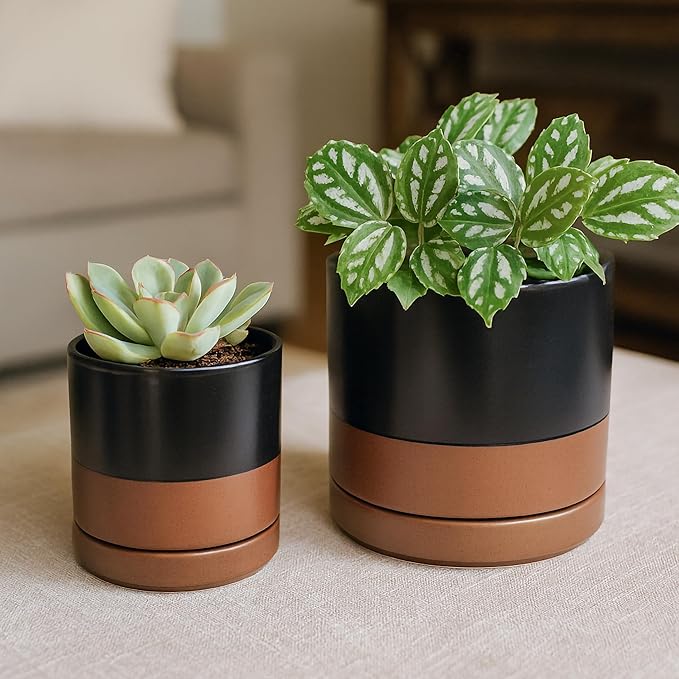 D'vine Dev 3.5 Inch & 4.7 Inch Ceramic Planter Pots for Plants with Drainage Hole and Saucer, X-Small Plant Pots Set, Black/Speckled Tan, 94-G-XS-7 - Bloomnest