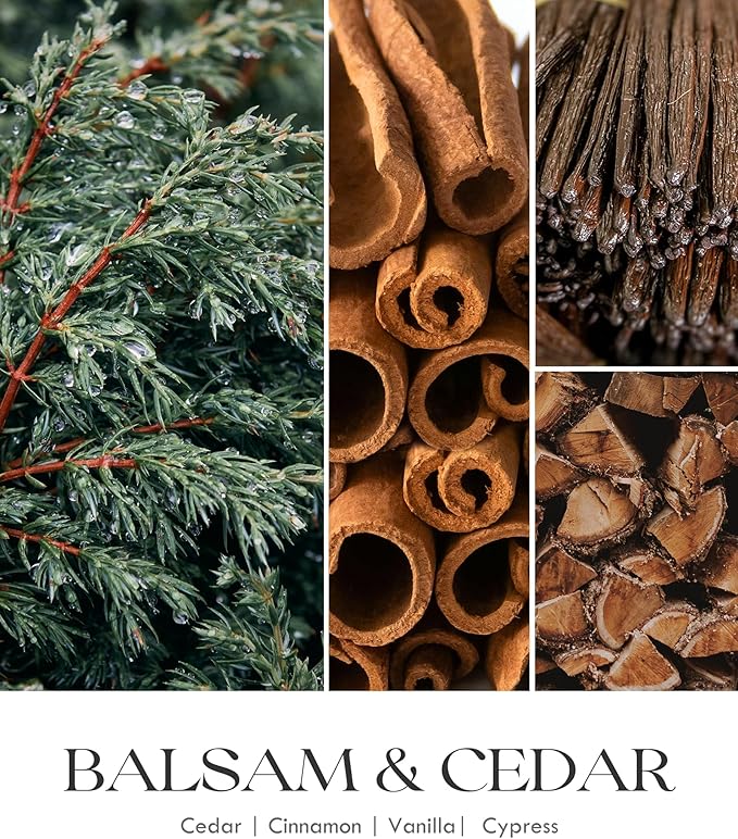AOOVOO Balsam Cedar Candle - Large Pine Scented Soy Wax Aromatherapy Candle, 9 oz - Bloomnest