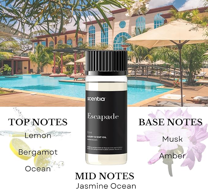 Scentia My Way Hotel Diffuser Oil | Aromatherapy Fragrances Inspired by 5-Star Hotels | Luxurious Scents Gift Box Set - 3 x 50ml - The 1 Hotel Miami Beach, W Magic - Thanksgiving & Holiday Gift - Bloomnest