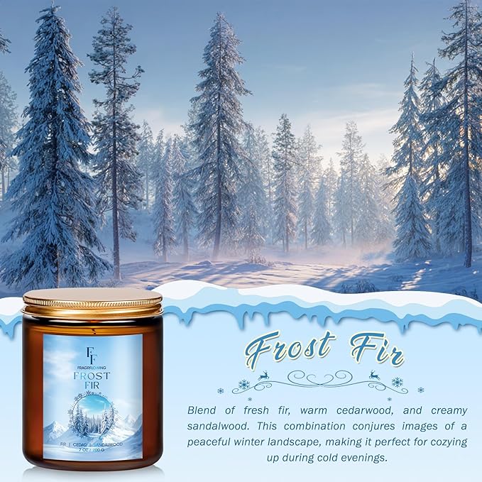 Winter Candle, Frost Fir Scented Candles for Home, Holiday Candles Natural Soy Candle, Aromatherapy Candle 7 oz Jar Candles Winter Gifts for Women Men - Bloomnest