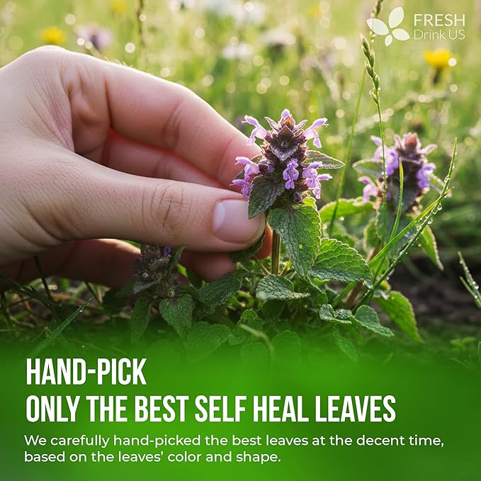 FreshDrinkUS, Premium Self Heal Leaves Tea | 40 Tea Bags | Premium Dried Self Heal Herb for Herbal Tea – Naturally Caffeine-Free, Clean & Convenient Tea Bags. Sugar-Free. Vegan - Bloomnest