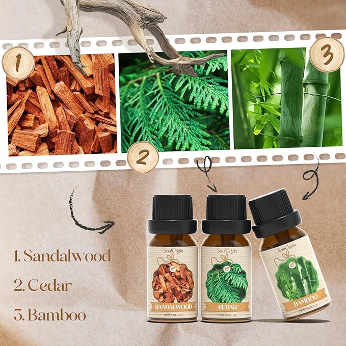 Woody Essential Oils Set, Fragrance Oil Set for Diffuser, Scent Diffuser Oil for Candle Making- Sandalwood, Cedar, Bamboo, Teak, Vetiver, Forest Pine - Bloomnest