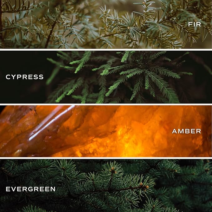 Sweet Water Decor Fraser Fir Candle - Evergreen, Fir, Cedar, and Cypress Winter Holiday Scented Soy Christmas Candles for Home - 11oz White Jar, 50+ Hour Burn Time, Made in The USA - Bloomnest