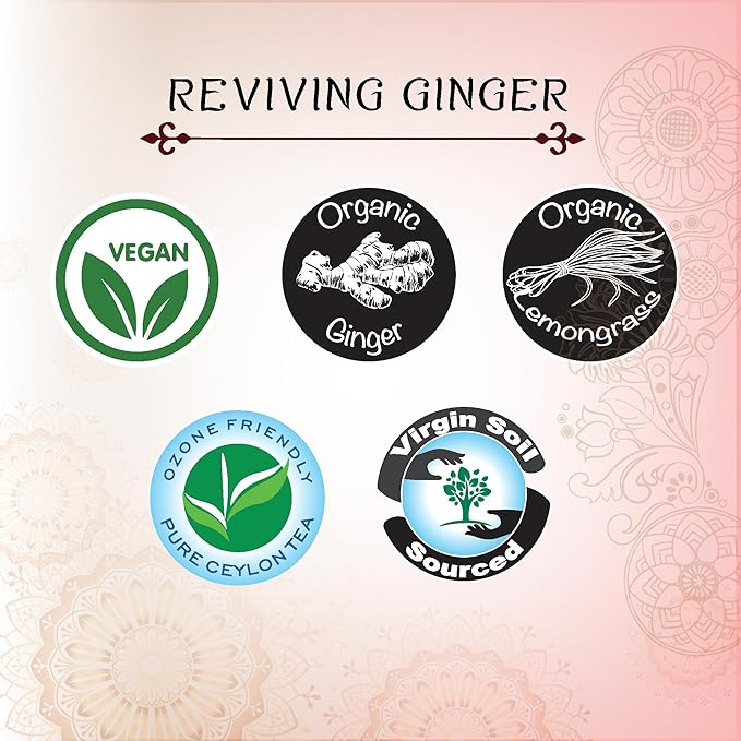 Térapy Ceylon GINGER & HONEY Tea | Organic Herbal Tea Bags | 100% Natural Ayurvedic Ingredients Including Organic Ginger, Wild Bee’s Honey, Ashwagandha & Lemongrass | 20 Individually Wrapped Tea Bags - Bloomnest