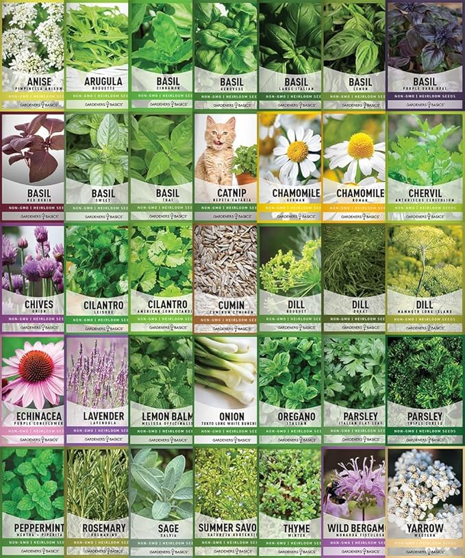 35 Medicinal & Culinary Herb Seeds Variety Pack – Heirloom Non-GMO Garden Kit for Indoor, Outdoor, or Greenhouse Growing – Apothecary, Tea & Cooking Herbs – Premium Gift for Gardeners & Homesteaders - Bloomnest