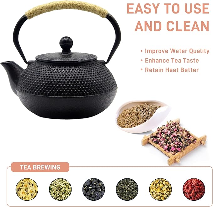 Japanese Tetsubin Cast Iron Teapot Tea Kettle pot with Stainless Steel Infuser for Stovetop Safe Coated with Enameled Interior (Black, 27.1oz) - Bloomnest