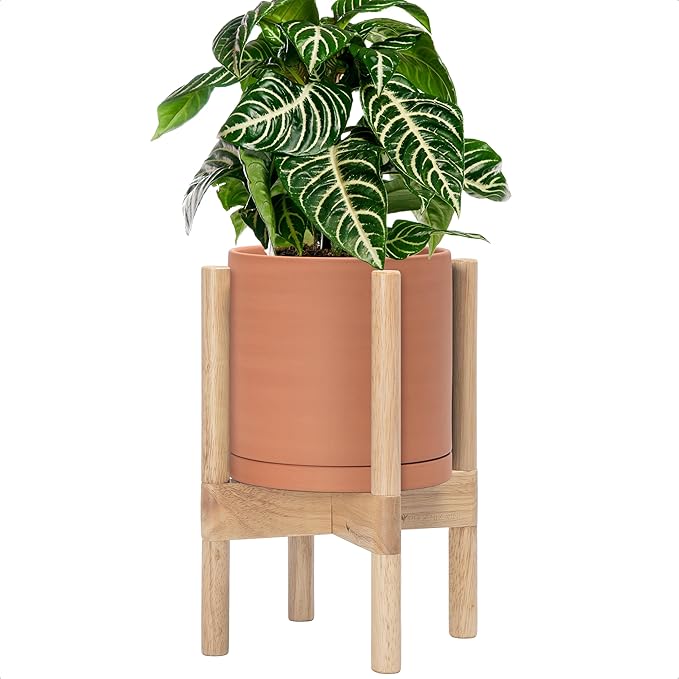 D'vine Dev Terracotta Planter with Natural Stand - 8 Inch Modern Round Flower Pot with Wood Planter Holder, Terracotta, 55-B-N-5 - Bloomnest
