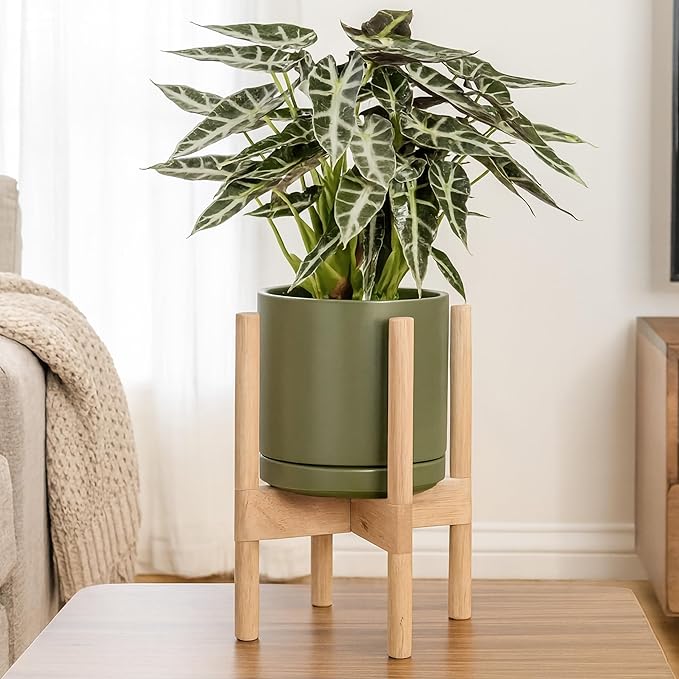 D'vine Dev Ceramic Planter with Natural Stand - 8 Inch Modern Round Flower Pot with Wood Planter Holder, Olive, 55-B-N-J - Bloomnest