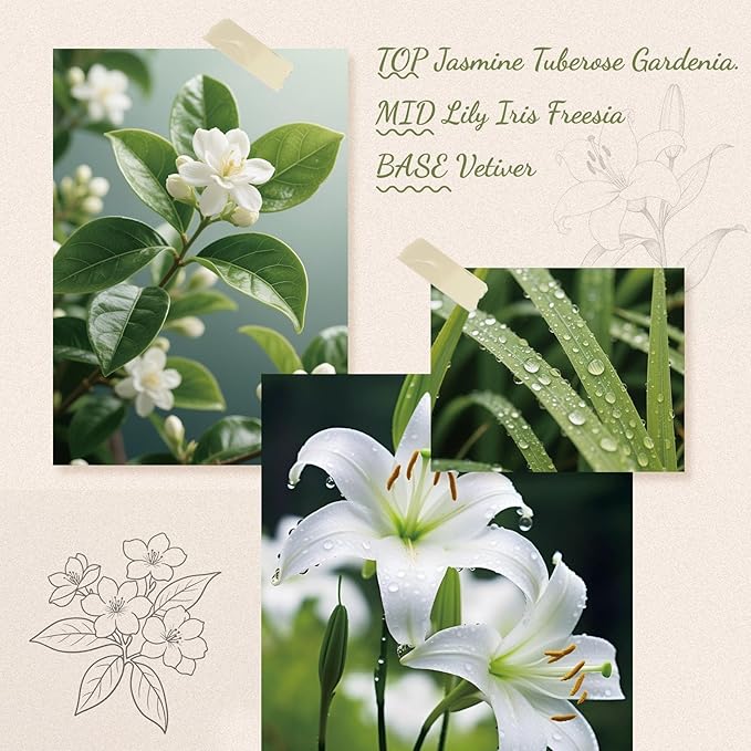 Reed Diffuser, 6.09 oz Jasmine Lily Scent Diffuser with Sticks & Dried Flowers, 120 Days Long Lasting reed diffusers for home, Elegant fragrance for Bathroom Bedroom Office Decor, Air fresh - Bloomnest