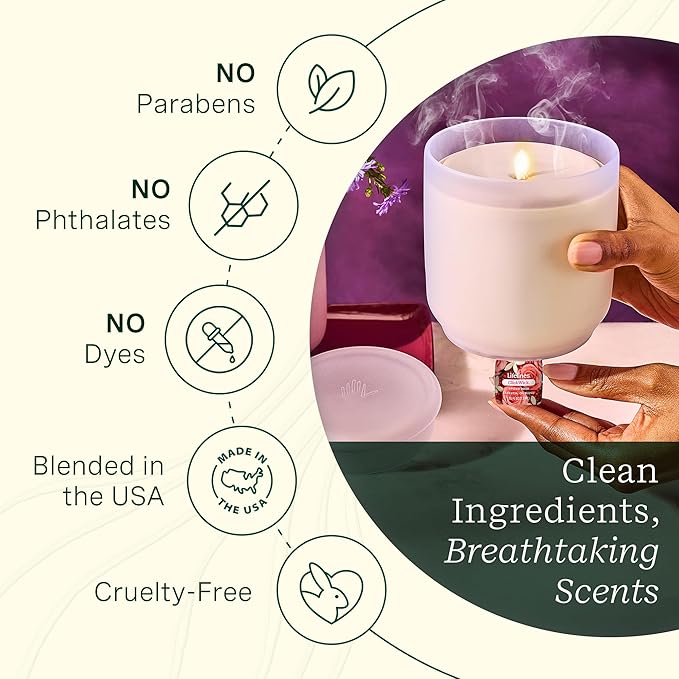 Lifelines ClickWick Essential Oil Blends for Lifelines Diffusers, 3-Pack Spiced Rose Set – Essential Oil Blend Refill for Candle, Plant & Shower Aromatherapy Diffuser – Fragrance for Diffusers - Bloomnest