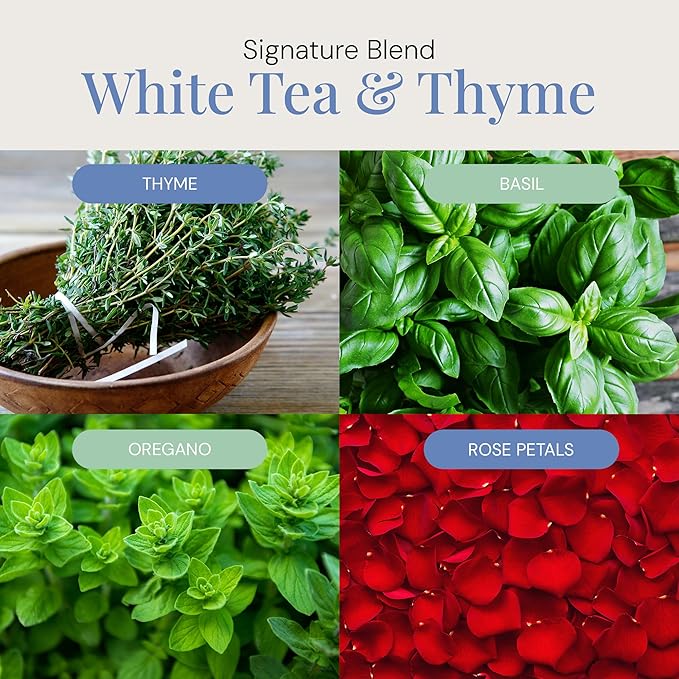 White Tea & Thyme Aroma Oil, Essential Oils Blend for Diffusers & Scent Machines, Rose Petals, Thyme & Balsam, Aromatherapy, Cold Air Diffuser Compatible, 300 mL - Bloomnest