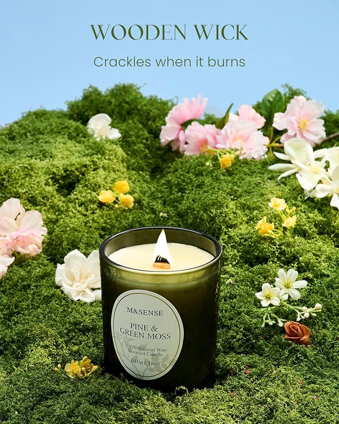 M&SENSE Pine & Moss Scented Candles, Natural Soy Wax 18oz 100 Hours Long Lasting Slow Burn, Cracking Wooden Wick Aromatherapy Candle for Women, Winter Holiday Christmas Gifts - Bloomnest