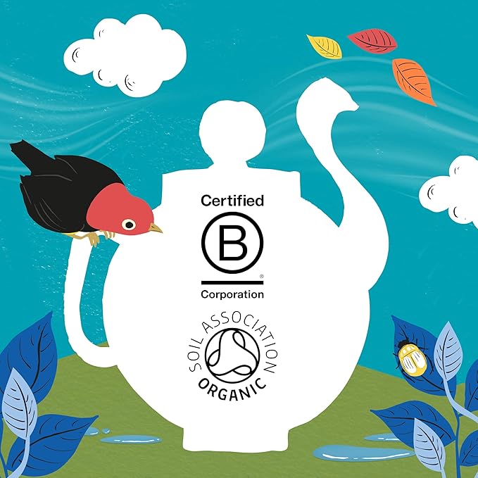 Clipper Tea, Organic Decaf, Plant-Based, Decaffeinated Black Tea, Great Over Ice, 1 Pack, 80 Unbleached Tea Bags - Bloomnest