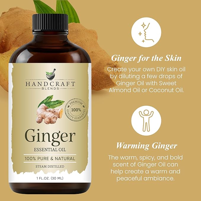 Handcraft Blends Ginger Essential Oil – 1 Fl Oz – 100% Pure and Natural – Premium Grade Essential Oil for Diffuser and Aromatherapy, Skin, Massage, Candle and Soap Making Fragrance - Bloomnest