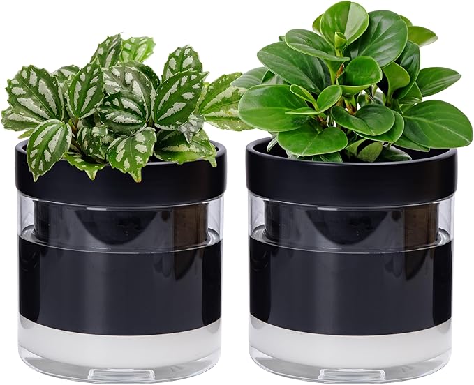 Phoenix Vine 6 Inch Self Watering Planter Pot, Black Terracotta Clay Pot with Glass Reservoir for Indoor Plants, Herbs, Flowers, Set of 2, 52-C-F-2 - Bloomnest